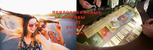 гидра Алексеевка