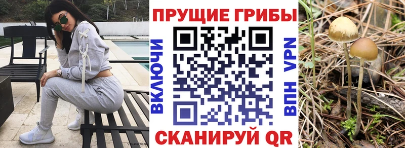 Галлюциногенные грибы мухоморы  купить наркотик  Елизаветинская 